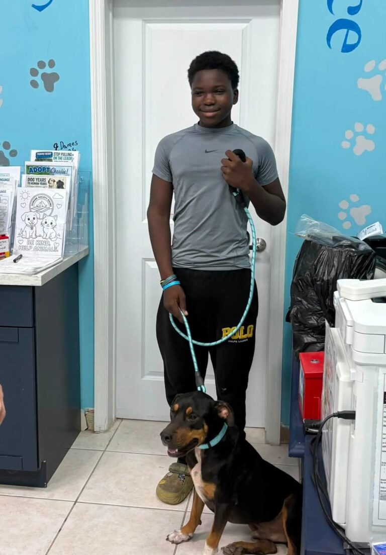 adopt2